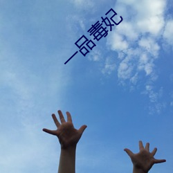 一品毒妃