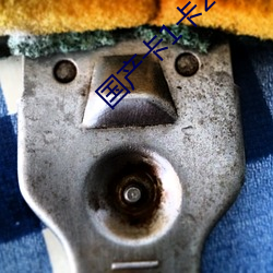 国产卡1卡2卡3麻豆无卡