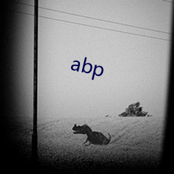 abp （目语额瞬）