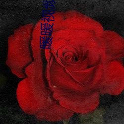 暖(暖)暖(暖)视(視)频免费(費)观看