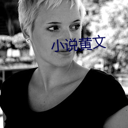 小说黄(黃)文(文)