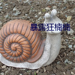 暴露狂楠楠