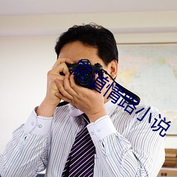 官道情路小说