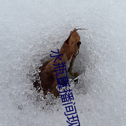 水瓶直播间现场直播(bō)