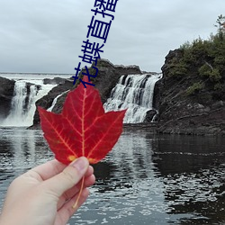 花蝶直播下载安装