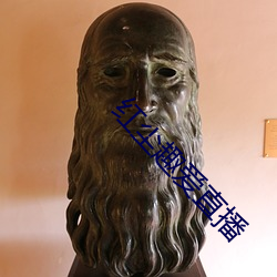 金年会(中国)官方网站