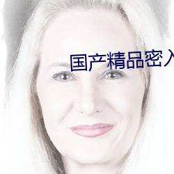 国产精品密入(rù)口导航软件