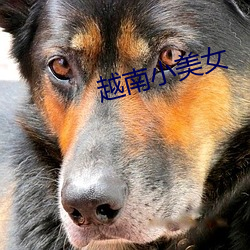 越南小(小)美女