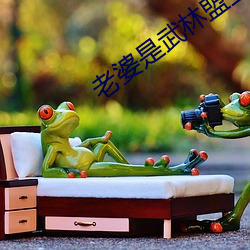 金年会(中国)官方网站