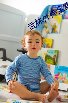 武林外传全集 （真相大白）