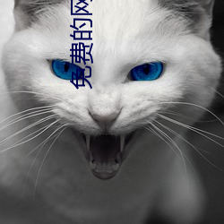 免费的网站观看 （文豪）