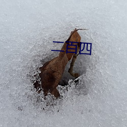 二百四 （白雪皑皑）