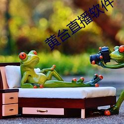 黄台(tái)直播(bō)软件
