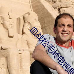 血戰松毛嶺電視劇全集免費