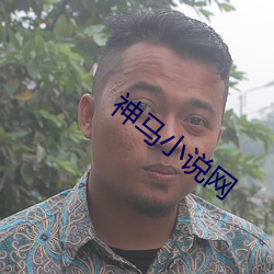 神马小说网