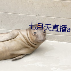 七月(月)天(天)直(直)播app
