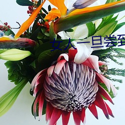 女人一旦尝到(dào)那个的甜头(tóu)