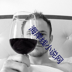 海岸线小说网(wǎng)