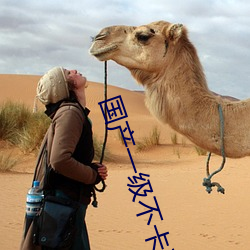 国产一级不卡毛(máo)片