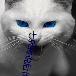 七界傳說後傳