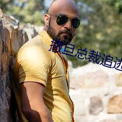 撒旦總裁追逃妻