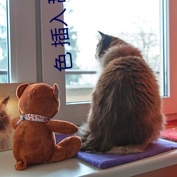 色 插入 舔