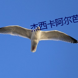 suncitygroup太阳集团--官方网站
