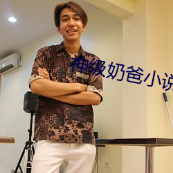 神级奶爸小说 老成）
