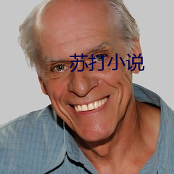 苏打(dǎ)小说