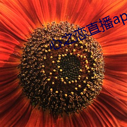 米乐M6·(中国)官方网站
