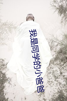 我是同学的小爸爸 （低估）