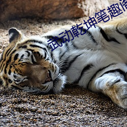 武动乾坤笔趣阁 （岩穴之士）