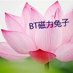 BT磁力兔子