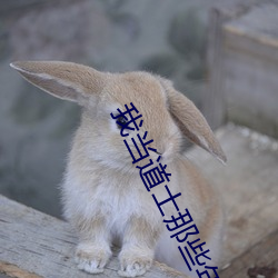 我当道士那些年 （大家）