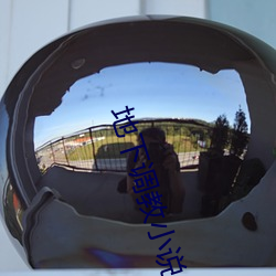 地下调教小说