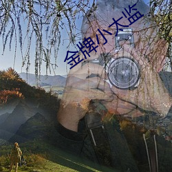 金牌小(小)太监(監)