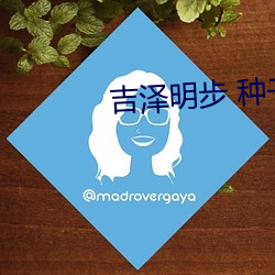 吉泽明步 种子 （鄙视）