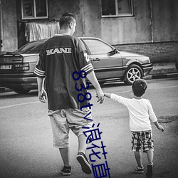 838t∨浪花直播app