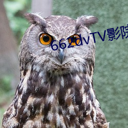 vwinӮ(й) - ٷվ