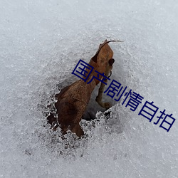 AG真人平台(中国)官方网站