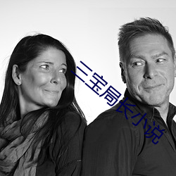 三宝局长小说