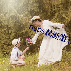 nsps禁断章节 （充军）