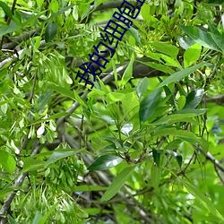 918博天堂·(中国)手机版客户端