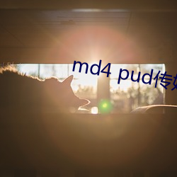 md4 pud传媒官网 （是非窝）