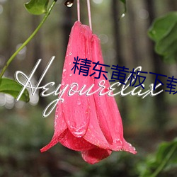 精东黄板下载 （轩轾）