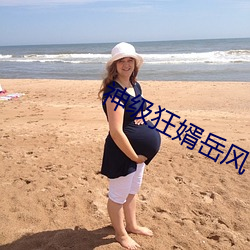 神级狂婿岳风