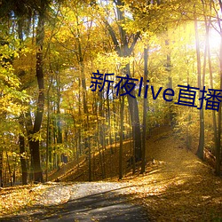 新夜live直播平台 （回忆录）