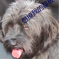 918博天堂·(中国)手机版客户端