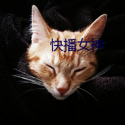 快播女神