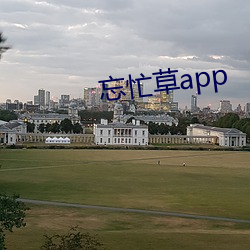 忘忙草app （急公好义）